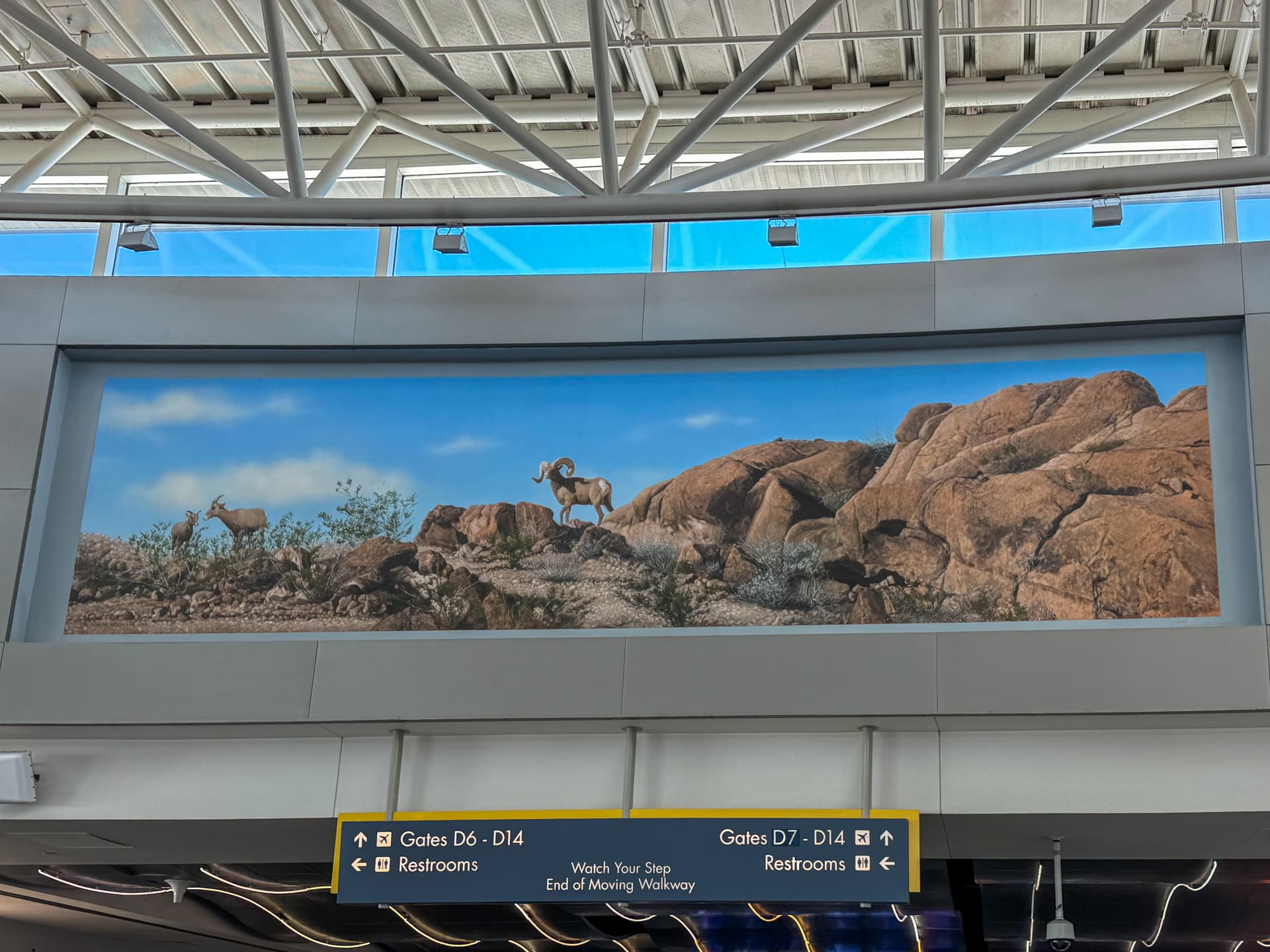 Airport Art Big Horn Sheep New - Photo