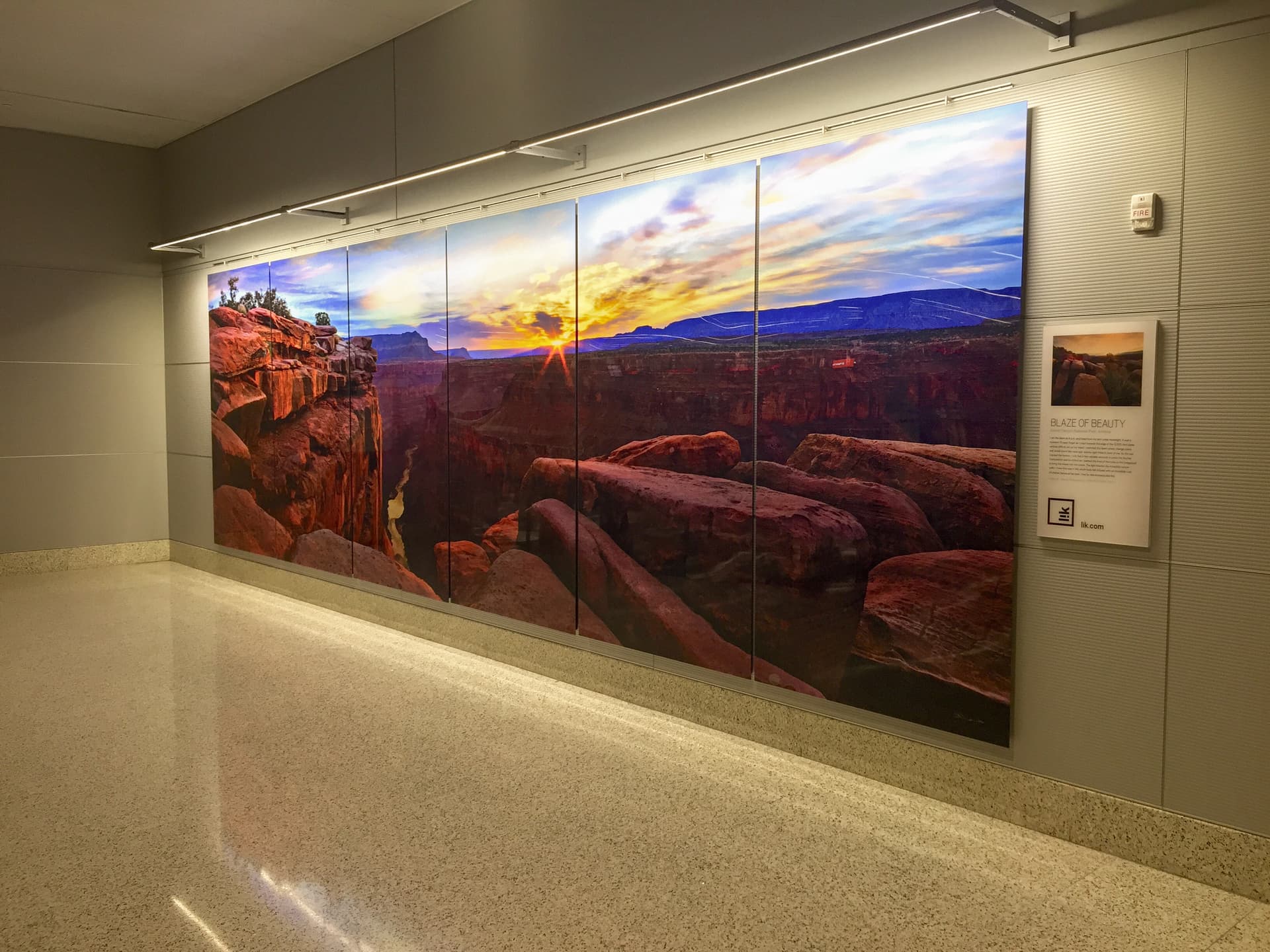 "Blaze of Beauty" by Peter Lik Photo